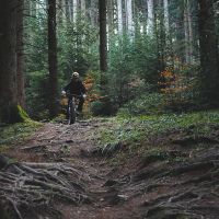 Cuántos kilómetros hay que hacer en bici cada semana: la guía real según tu nivel y objetivos