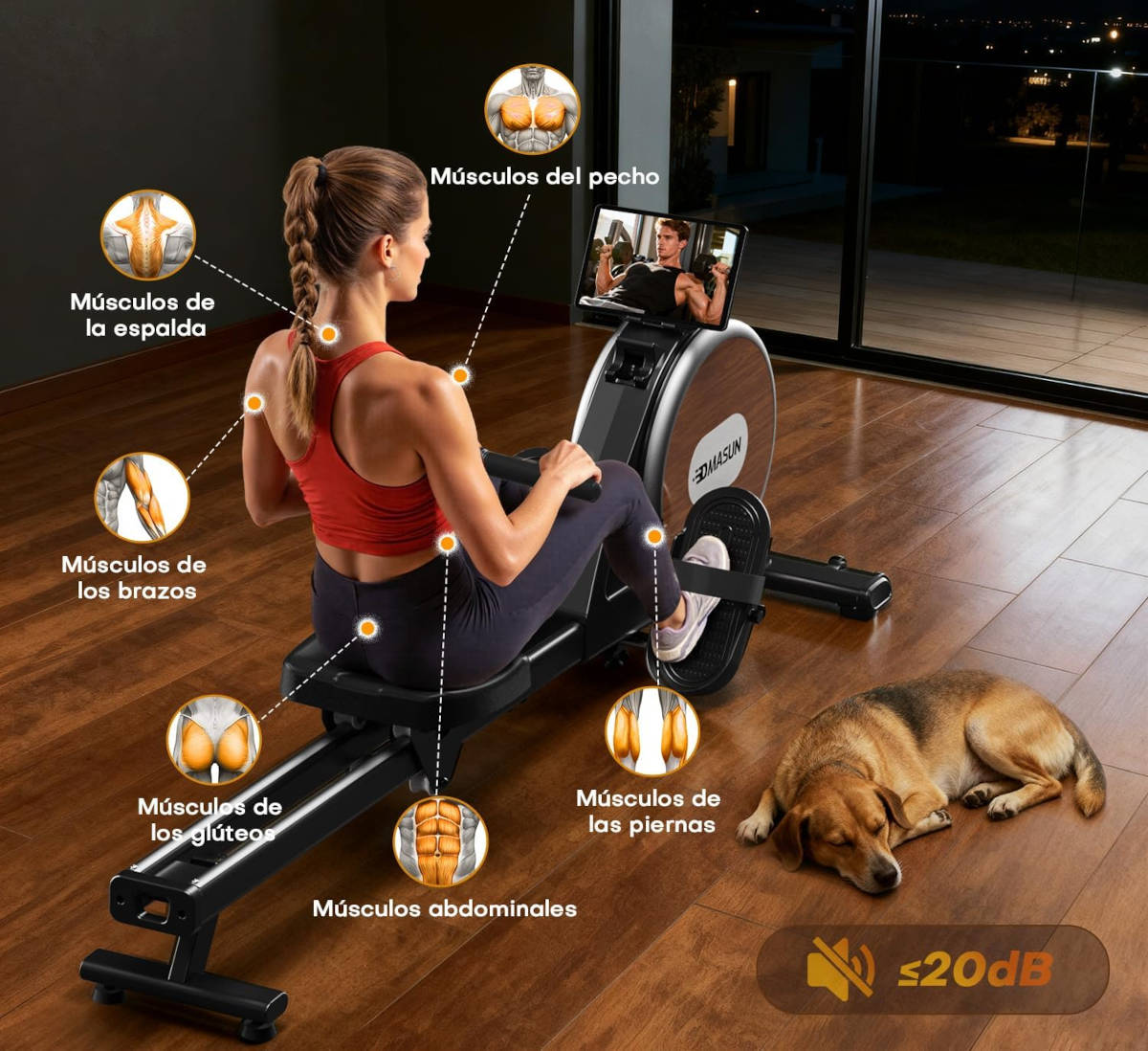 Máquina de remo. Imagen: DMASUN