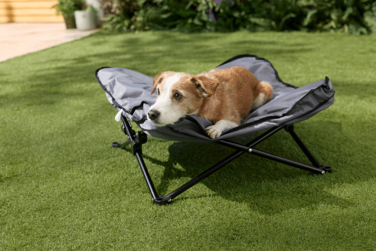 Cama plegable para mascotas ALDI. Imagen: ALDI