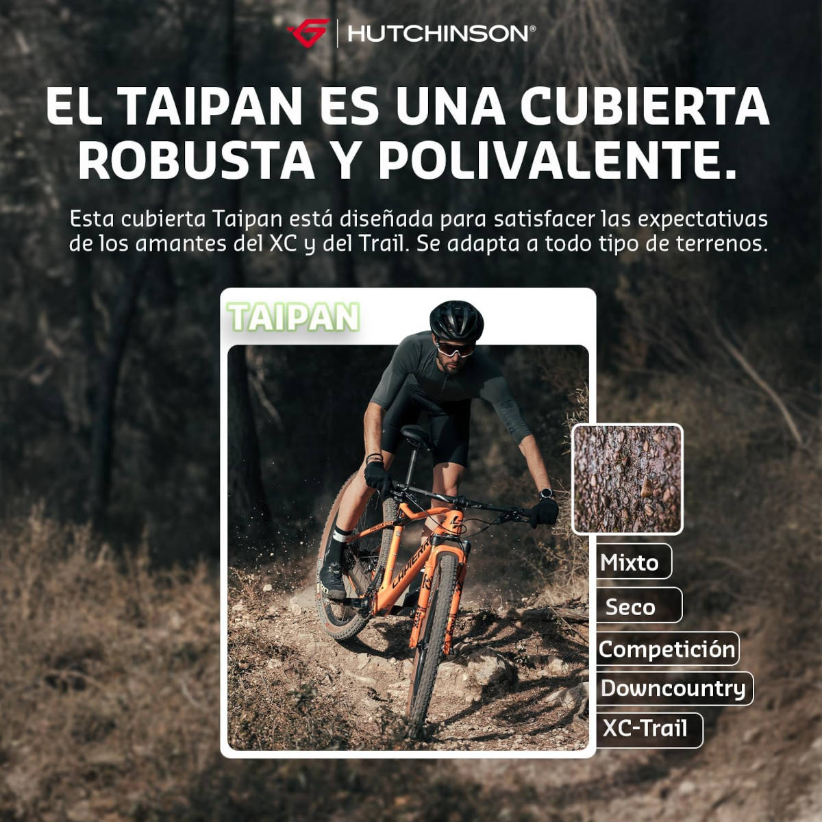 Hutchinson Taipan XC. Imagen: Hutchinson