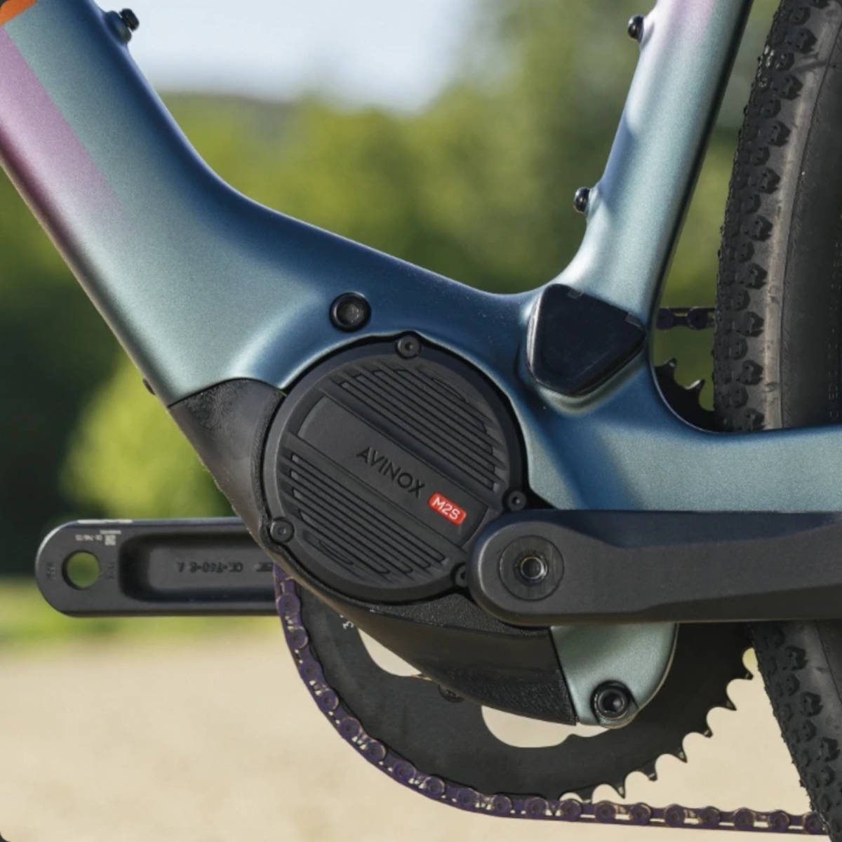 Megamo Along. Imagen: Megamo Bicycles
