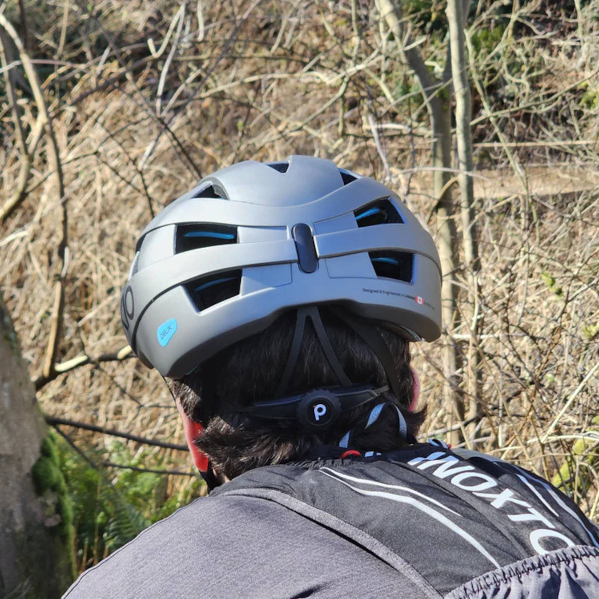 Pikio Si. Imagen: Pikio Labs