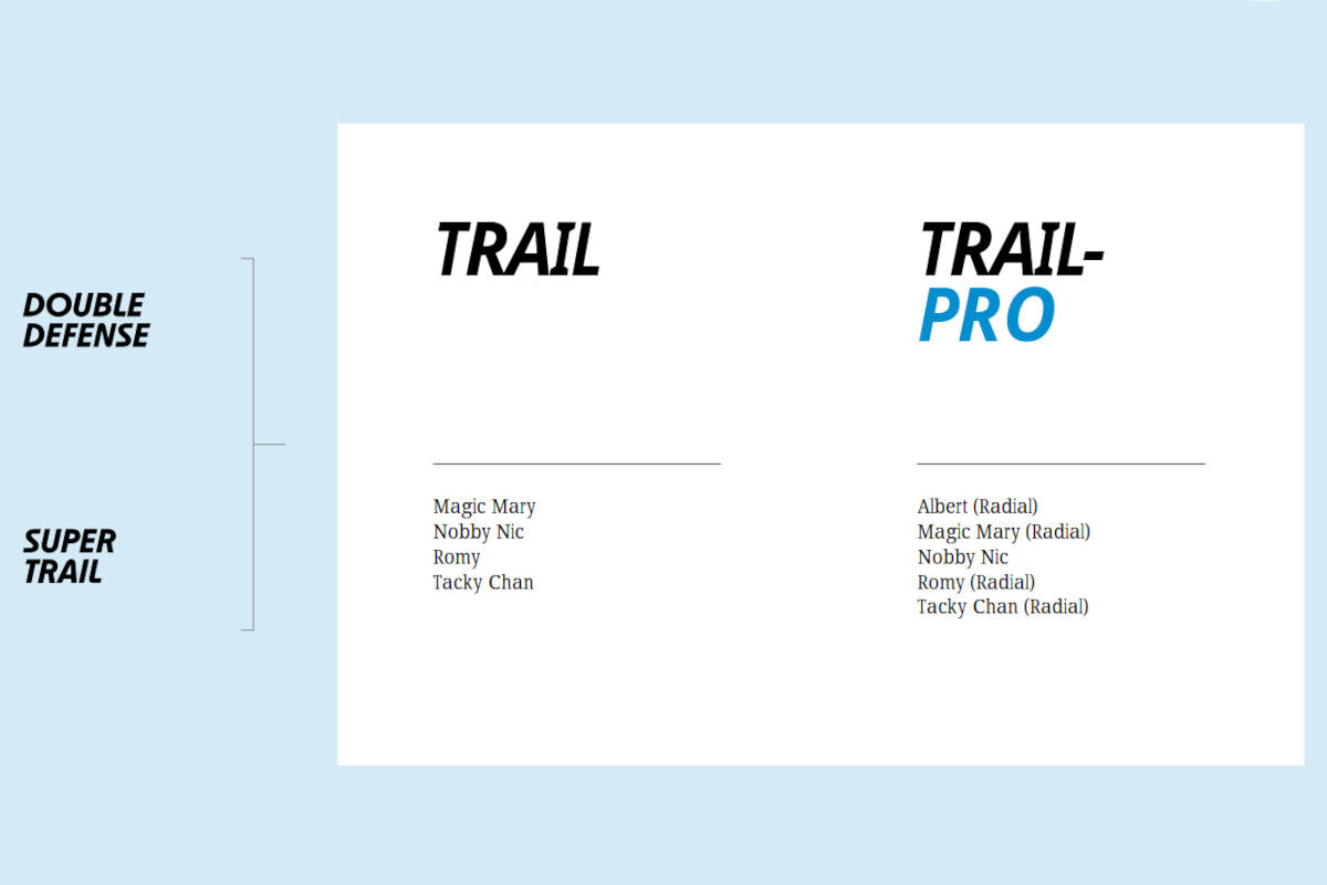 Gama de neumáticos Race Pro. Imagen: Schwalbe