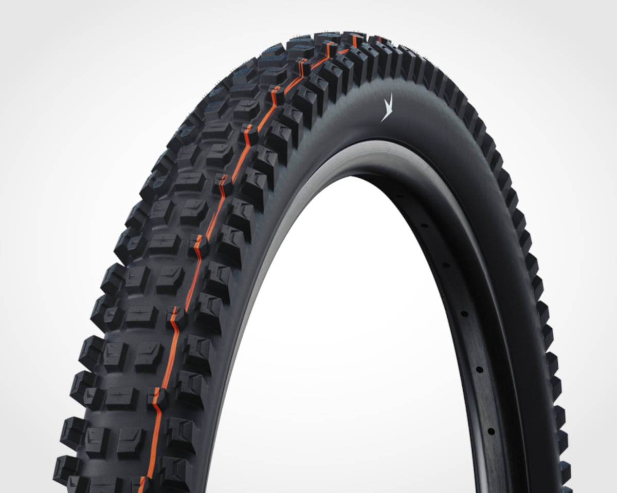 Schwalbe Albert Radial. Imagen: Schwalbe