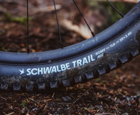 Schwalbe amplía su gama radial en MTB con nuevos Romy, Tacky Chan, Eddy Current y Magic Mary