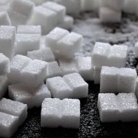 Sustitutos del azúcar en ciclismo: alternativas reales para mejorar rendimiento y controlar el peso