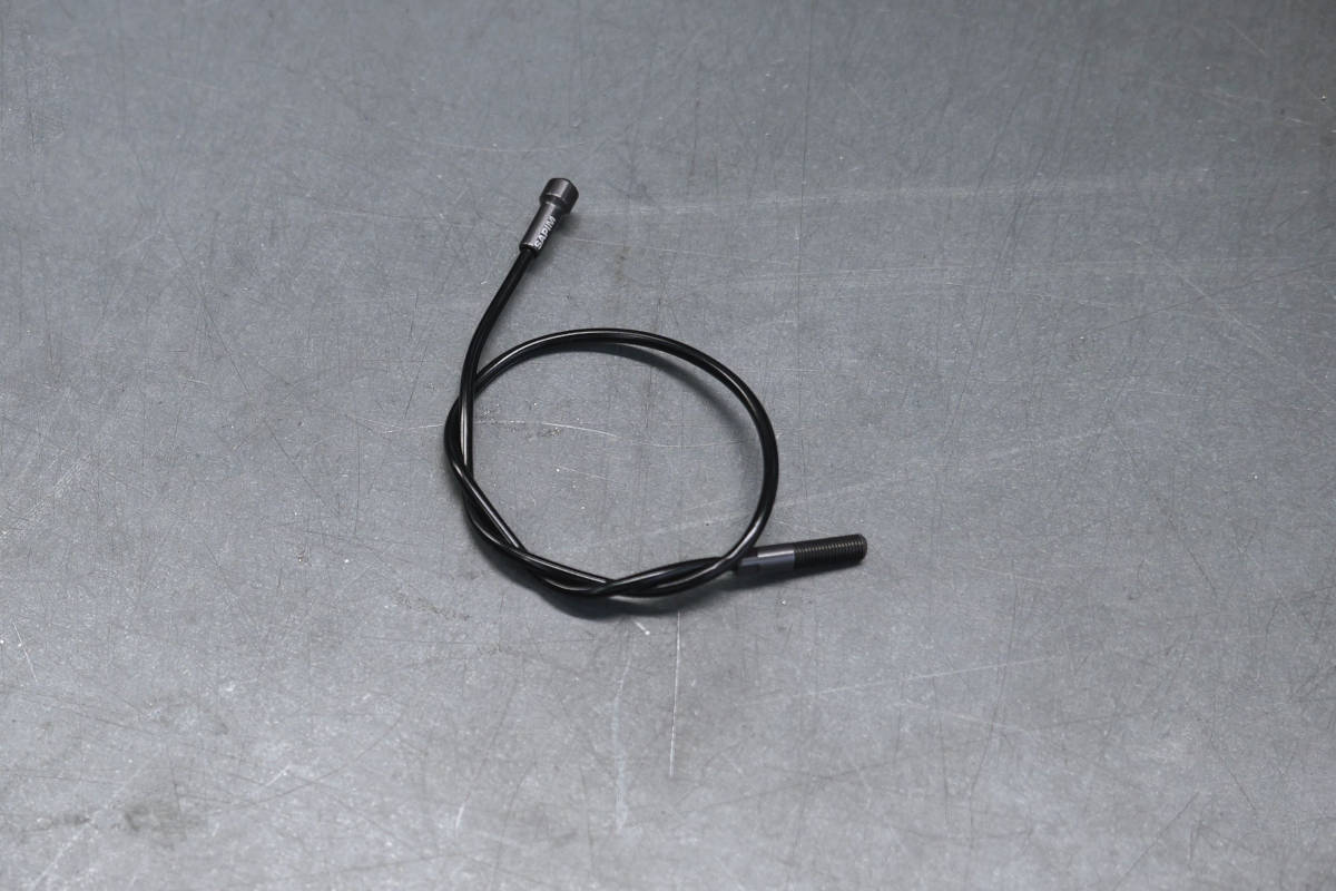 Ursus Arya G. Imagen: Ursus