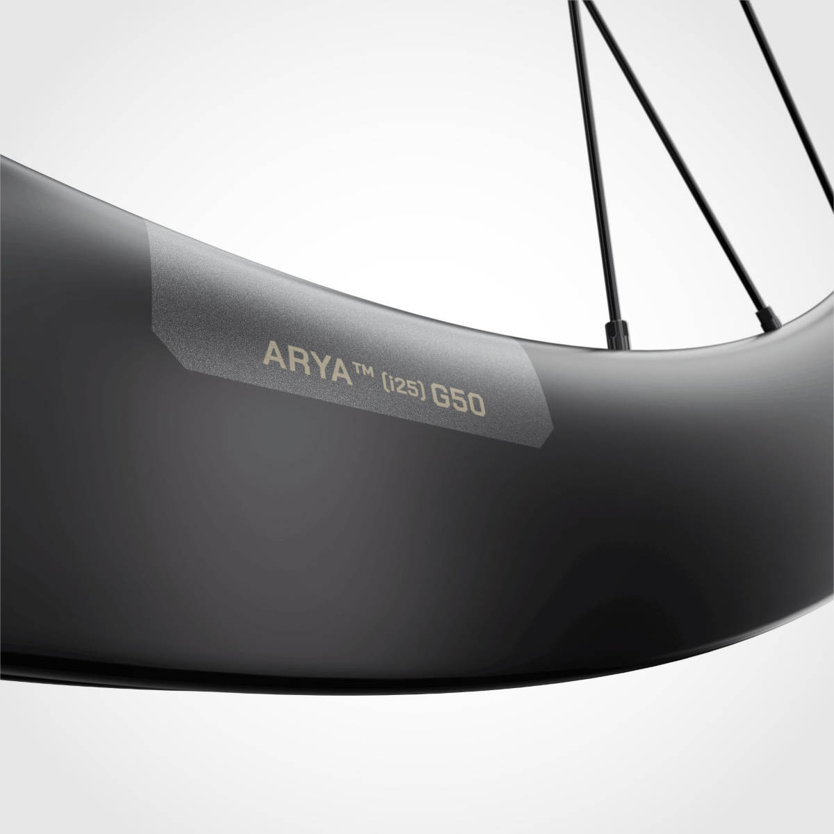 Ursus Arya G. Imagen: Ursus