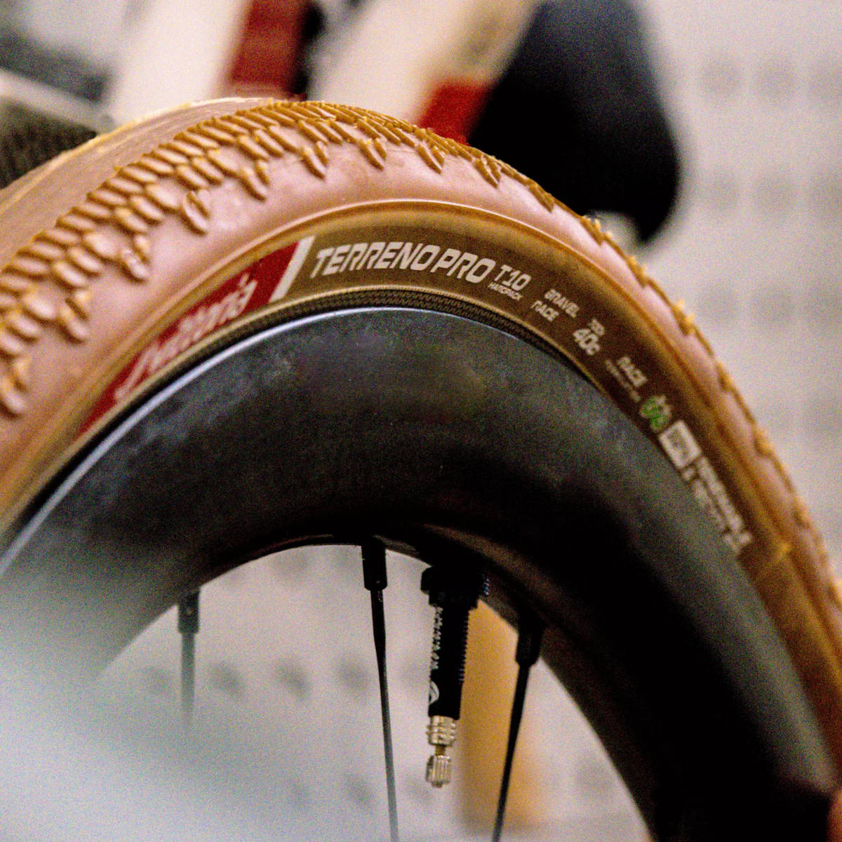 Vittoria Terreno Pro T10. Imagen: Vittoria