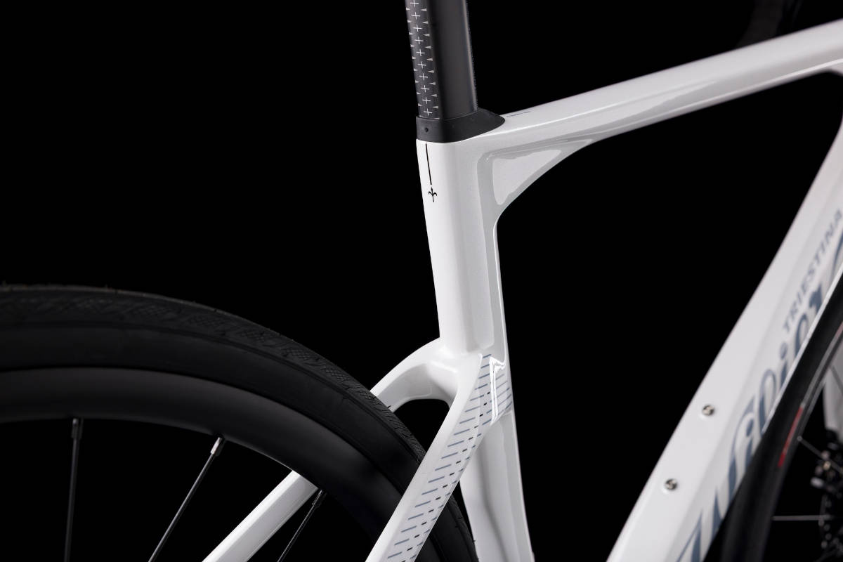 Wilier Rapida. Imagen: Wilier Triestina